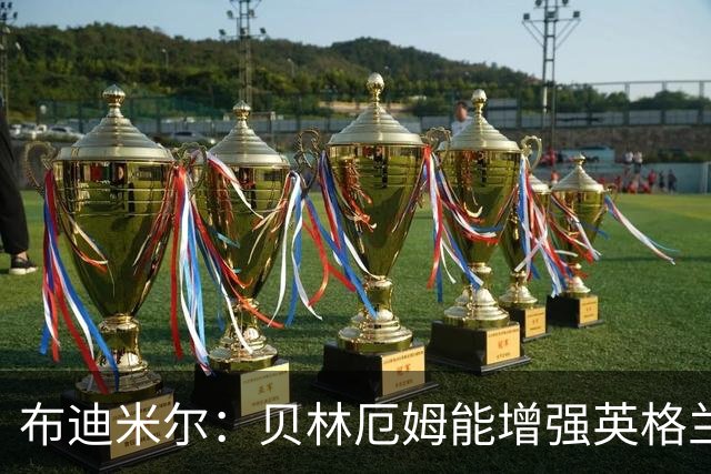 布迪米尔：贝林厄姆能增强英格兰实力 拉什福德总有关键表现