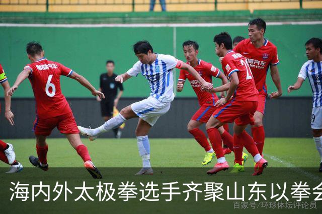 海内外太极拳选手齐聚山东以拳会友
